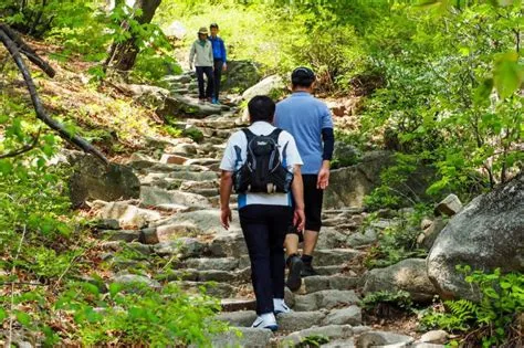 Dobongsan Mountain: Wspinaczka po historii i widokach zapierających dech w piersiach!