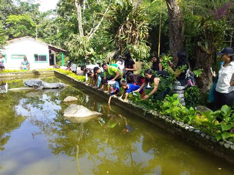  Jardín Botánico de Bucaramanga: Wycieczka w zielone królestwo miasta!