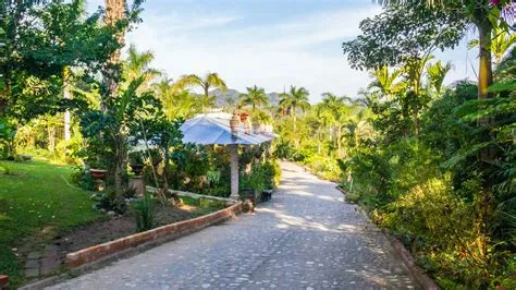 Jardín Botánico de Puerto Vallarta - Kwitnący Eden w Sercu Meksyku!