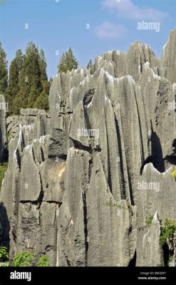 Stone Forest: Niezwykłe formacje skalne i mistyczne legendy w sercu Yunnanu!